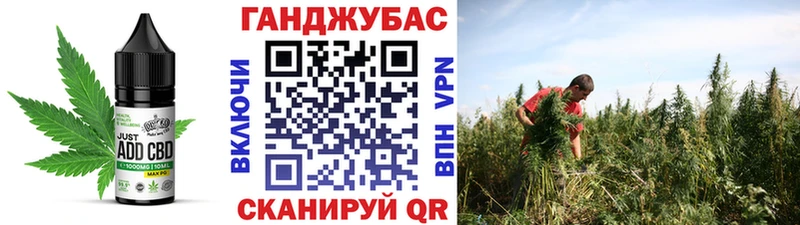 kraken tor  хочу наркоту  Владикавказ  Canna-Cookies марихуана 