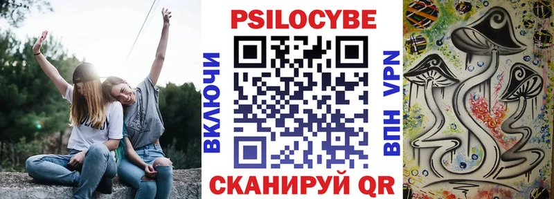 Псилоцибиновые грибы GOLDEN TEACHER  kraken ONION  Владикавказ 