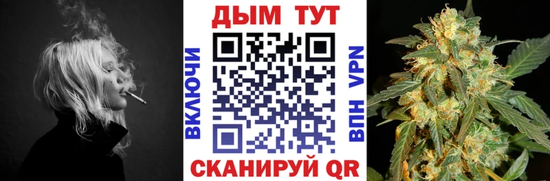 сколько стоит  Владикавказ  Бошки Шишки ГИДРОПОН 